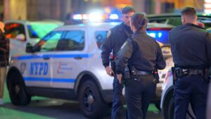 NYPD gun bust